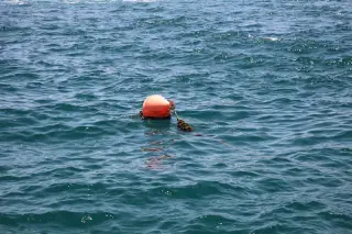 Dua Nelayan Sikka Hilang Kontak Saat Berlayar ke Pulau Karumpa