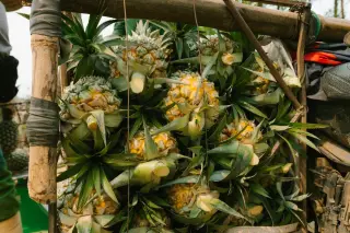 Nanas Kampung Ndole Mulai Pasok Pasar Labuan Bajo
