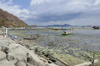 Foto arsip: Labuan Bajo Harbour by isabell Schulz.