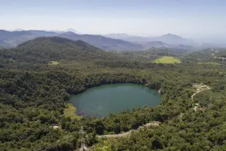 Foto arsip: Hutan Ranamese menjadi kawasan TWA Ruteng yang menjadi penyangga ekologis penting bagi dua kabupaten yaitu Manggarai dan manggaraui Timur.