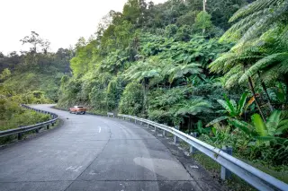 Ilustrasi: Sebuah mobil melintas di jalan berkelok di tepi bukit yang rimbun dengan pepohonan tropis.