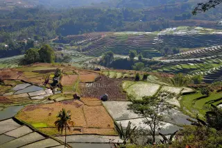 Foto arsip: Paddy fields near Ruteng, Flores Island, Indonesia.