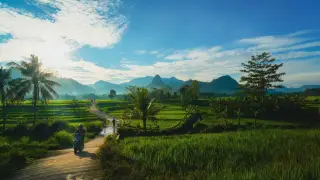 Ilustrasi: Pemandangan sawah hijau dan perbukitan di bawah langit cerah berawan dengan pengendara motor di jalan.