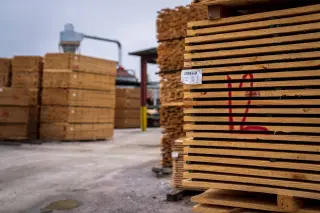Ilustrasi: Tumpukan papan kayu tersusun rapi di area gudang terbuka.