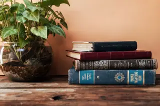 Ilustrasi: Tumpukan buku tebal di atas meja kayu di sebelah tanaman hias dalam wadah kaca.