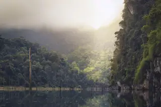 Ilustrasi: Pemandangan danau berair tenang di antara perbukitan hutan lebat berselimut kabut tebal.