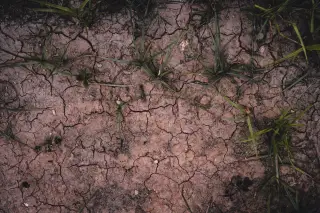 Ilustrasi: Pemandangan dari atas permukaan tanah kering yang retak-retak dengan sedikit rumput hijau.
