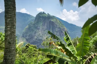 Ilustrasi: Pemandangan bukit batu curam dikelilingi pepohonan hijau dan pohon pisang di latar depan.