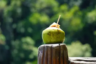 Ilustrasi: Sebuthir kelapa muda dengan sedotan diletakkan di atas tiang kayu berlatar dedaunan hijau.