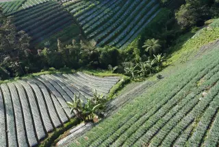 Berapa PDRB Manggarai Barat pada 2024 dan Sektor Terbesarnya?