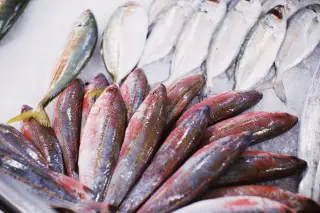 Ilustrasi: Tumpukan ikan segar tertata di atas lapisan es di pasar.
