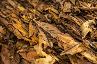 Polda NTT Ungkap 2.590 Bungkus Rokok Ilegal di Flores