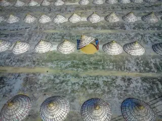 Ilustrasi: Pemandangan dari atas tumpukan gabah yang dijemur dan ditutupi tudung anyaman kerucut di lapangan jemur.