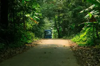 Ilustrasi: Sebuah bus biru melintas di jalan sempit beraspal yang dikelilingi pepohonan rimbun.