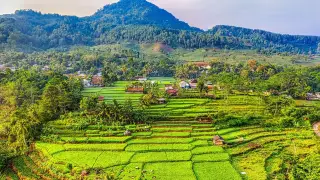 BMKG Prakirakan Flores Cerah Berawan pada 19 Oktober 2026