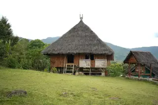 Ilustrasi: Sebuah rumah adat beratap ijuk berdiri di halaman berumput dengan latar perbukitan hijau.