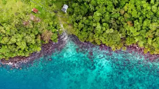 Ilustrasi: Pemandangan udara garis pantai tropis dengan vegetasi hijau lebat dan perairan laut toska yang jernih.