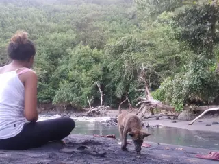 Foto arsip: Ini salah satu dari sekian banyak keaslian alam kabupaten Sikka yang indah.