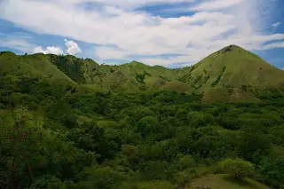 Menko Polkam Soroti Pembagian Penerimaan Pariwisata Komodo