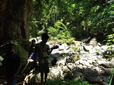 Foto arsip: Hutan dan Pusat Mata Air Wair Terang Area Hutan dan Pusat Mata Air yang dilindungi.