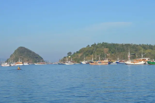 Gempa M5,1 Lamba Leda Dirasakan hingga Labuan Bajo, Tanpa Potensi Tsunami