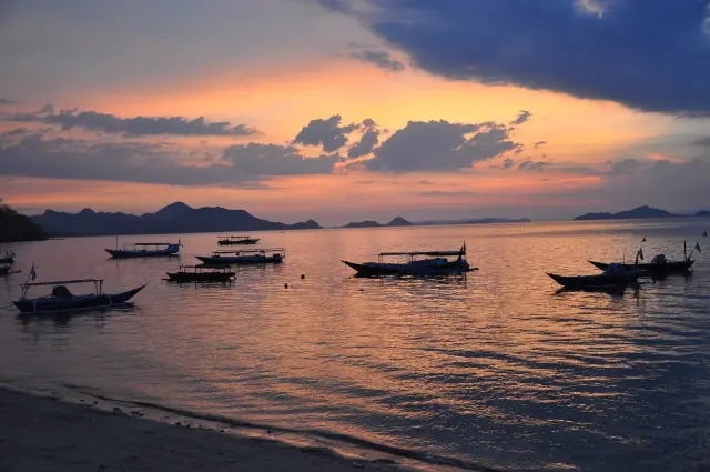 BPOLBF Bahas Kuota Komodo dan Infrastruktur Bahari di Labuan Bajo