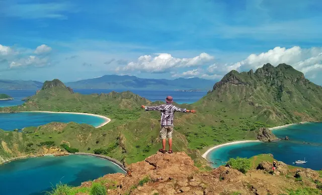 Komodo Ada di Mana? Ini Lokasi Alami Komodo di NTT