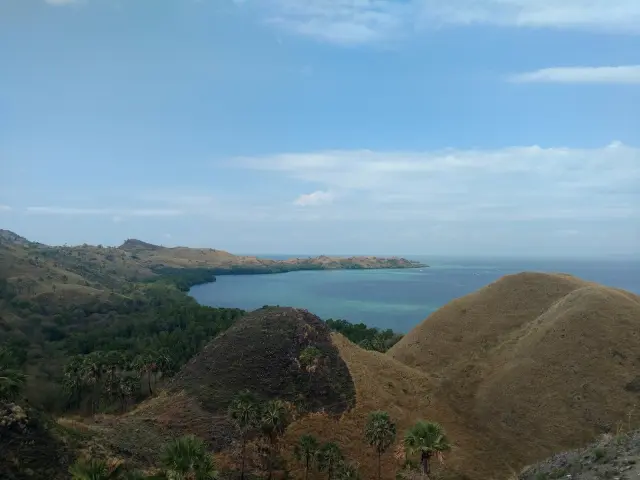 BMKG Catat 1.976 Gempa di NTT, Terbanyak di Flores