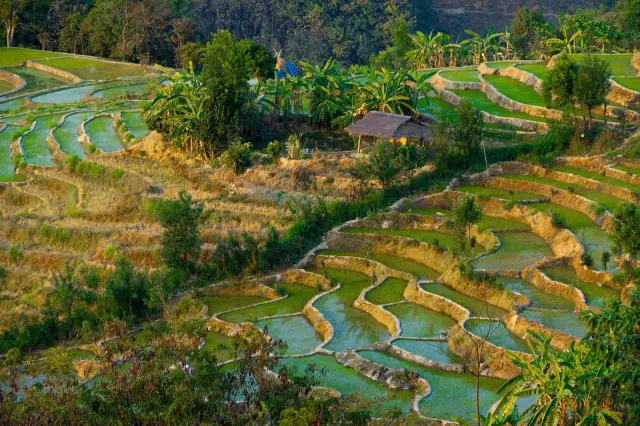 Wakil Bupati Manggarai Timur Minta Perbaikan Irigasi Wae Laku Dipercepat