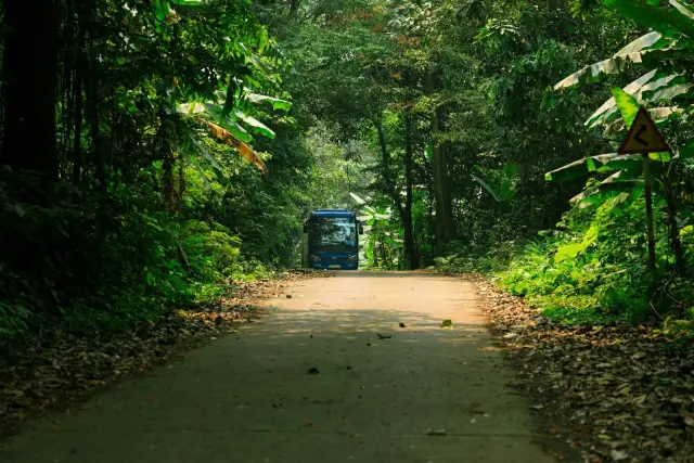 Bus Wisata Komodo: Bedakan Operator Bus dan Akses ke Taman Nasional