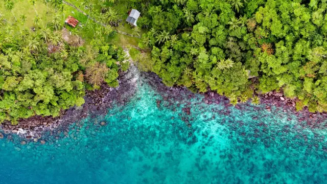 Analisis Floresa Dorong Dana Pelestarian Labuan Bajo